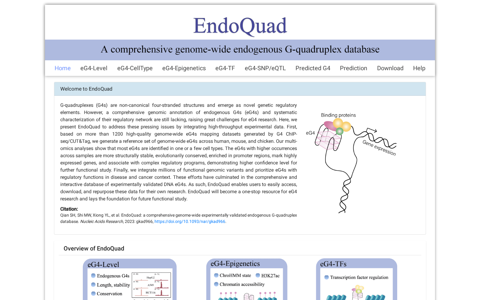 Endogenous G-quadruplex Database 数据集图片