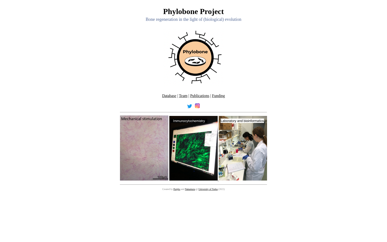 Phylobone 数据集图片
