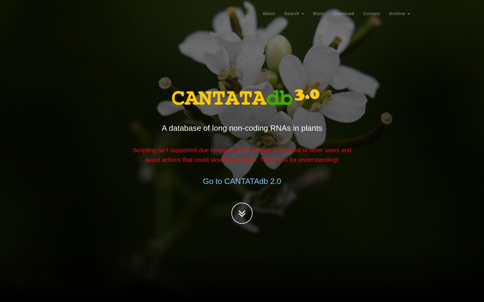 CANTATAdb 数据集图片