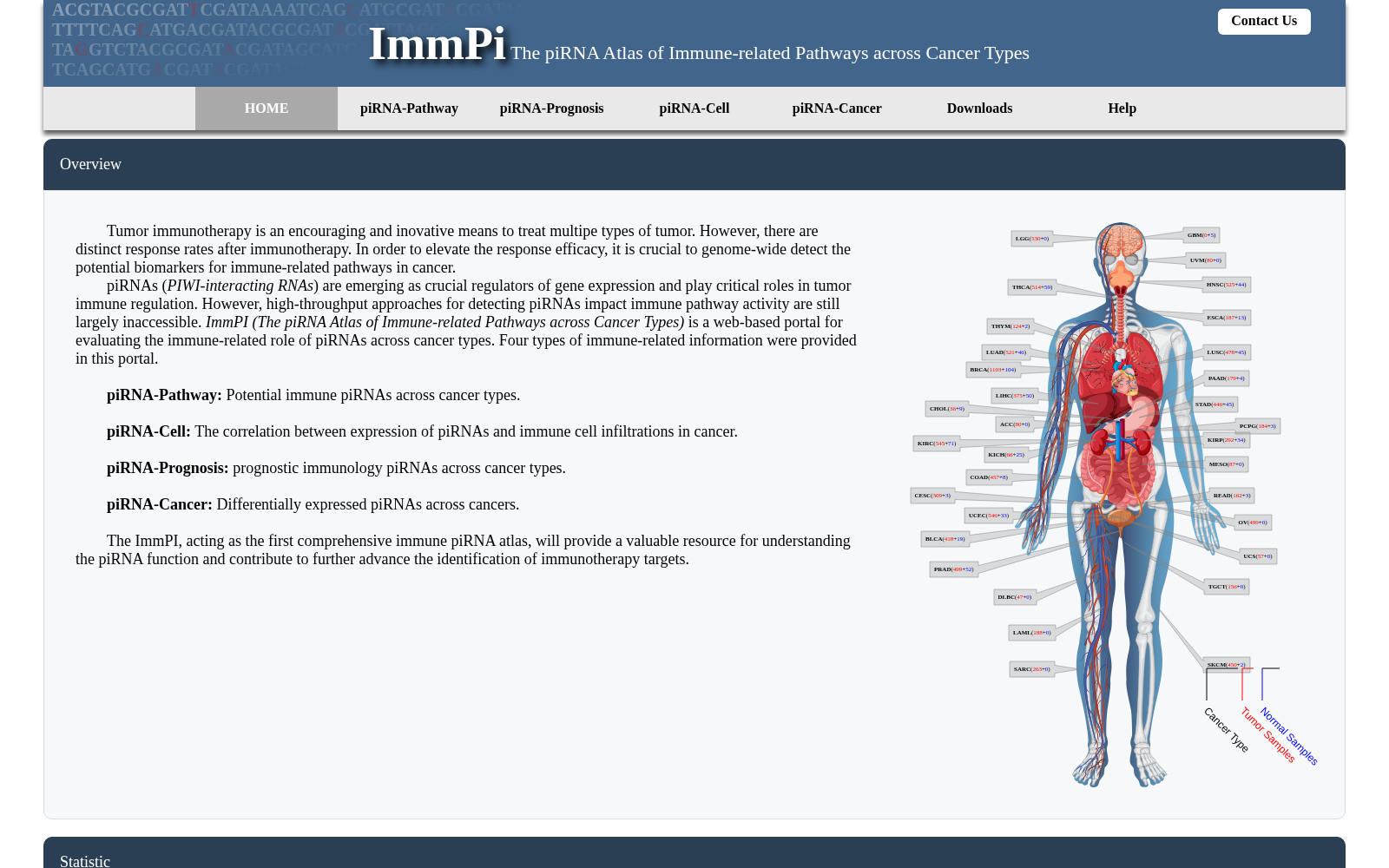 ImmPI 数据集图片