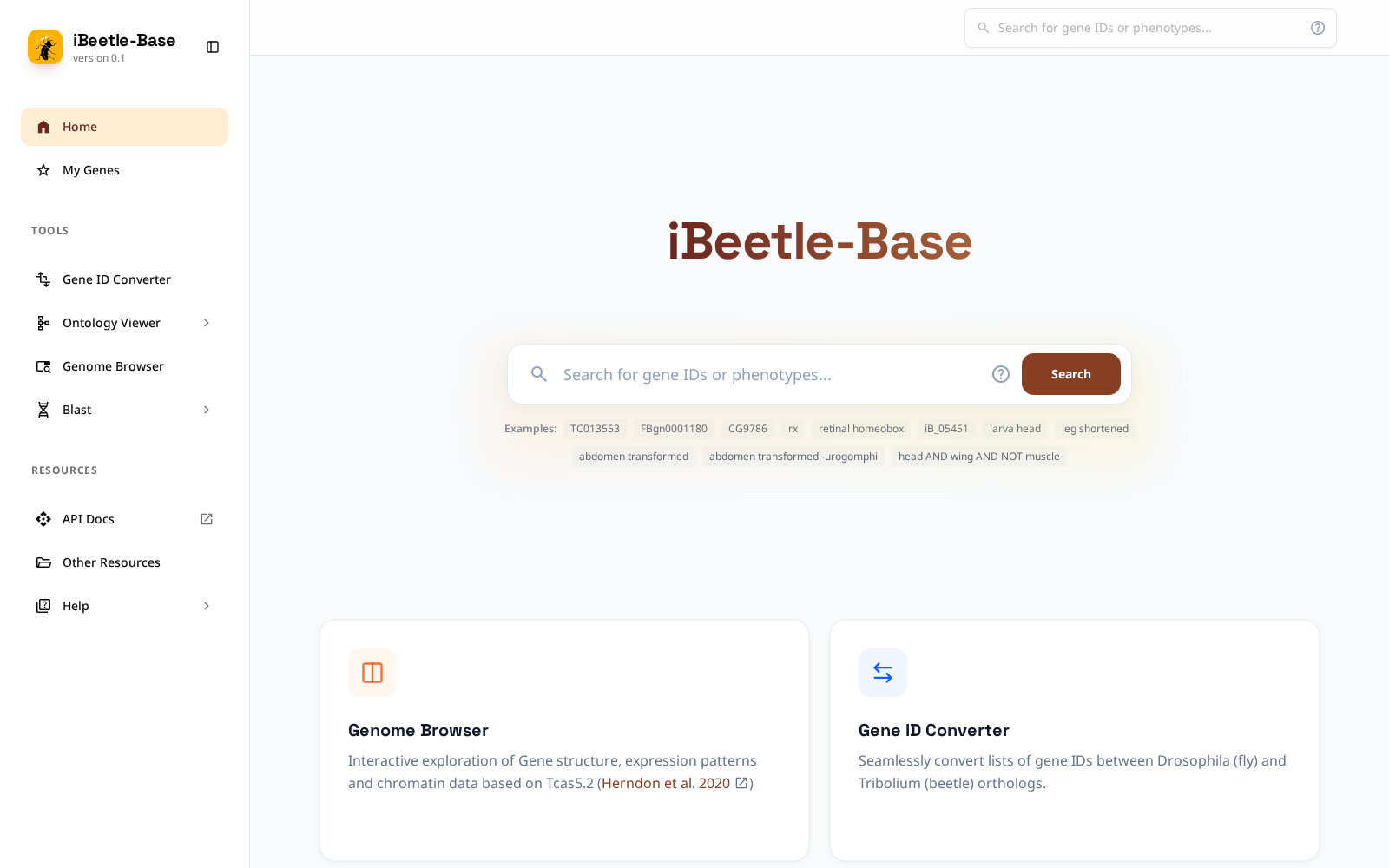 ibeetle 数据集图片