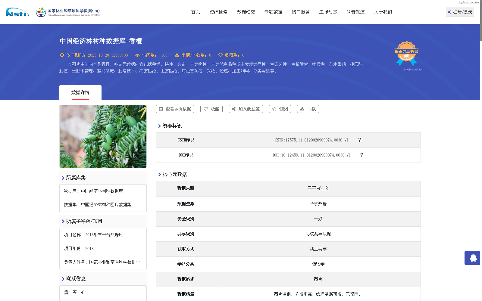 main_image_url