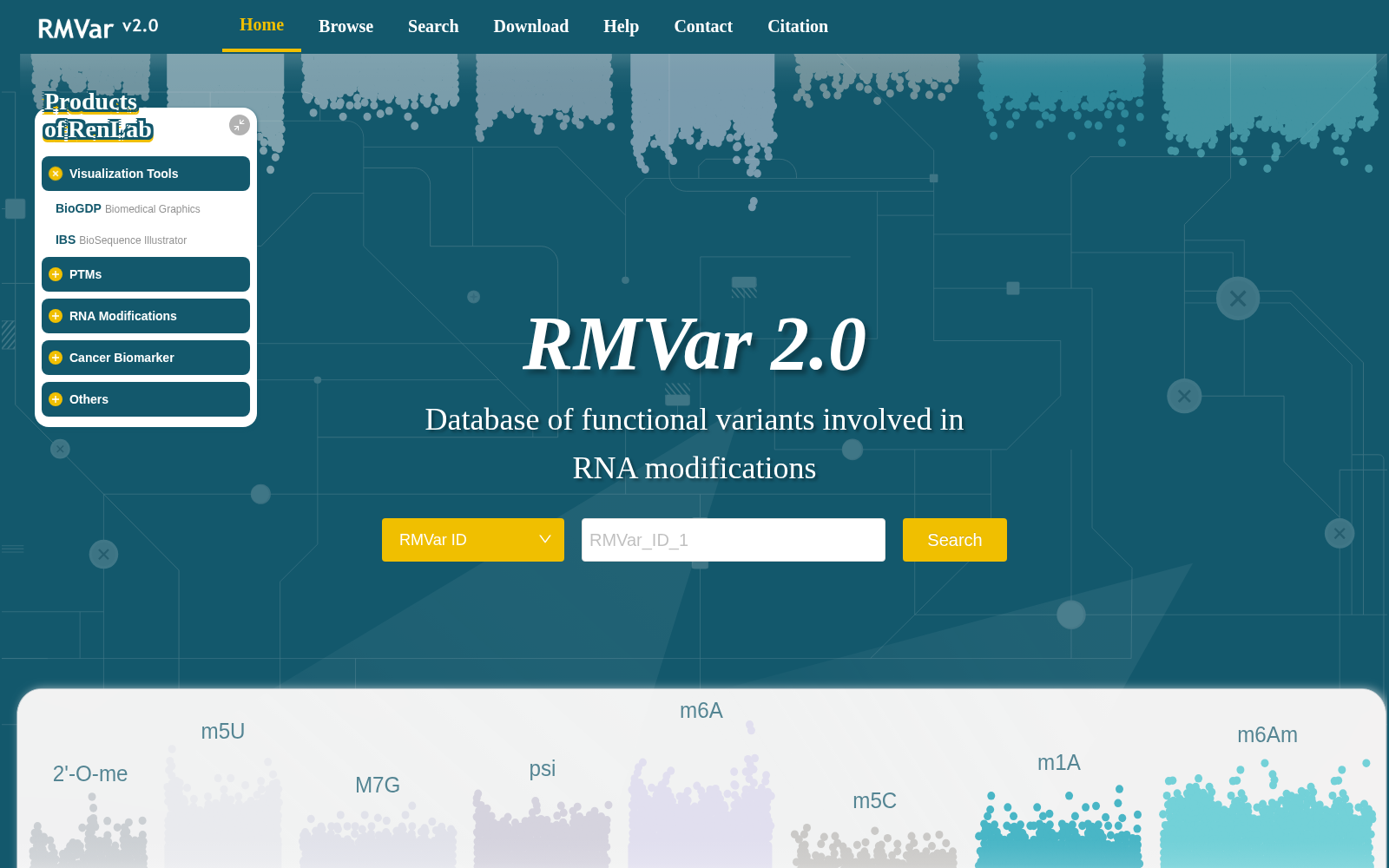 RMVar 数据集图片