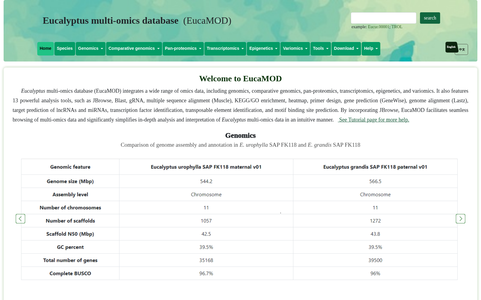 EucaMOD 数据集图片
