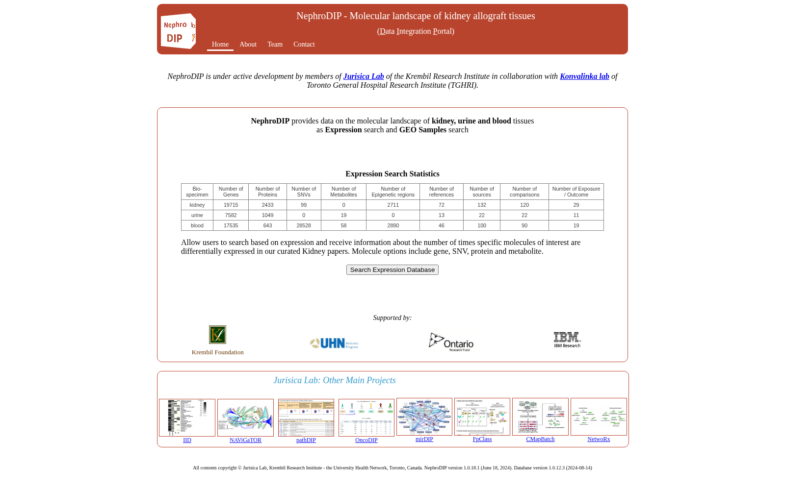 NephroDIP 数据集图片