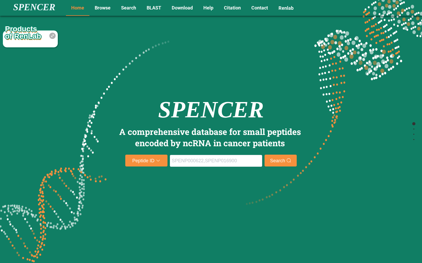 SPENCER 数据集图片