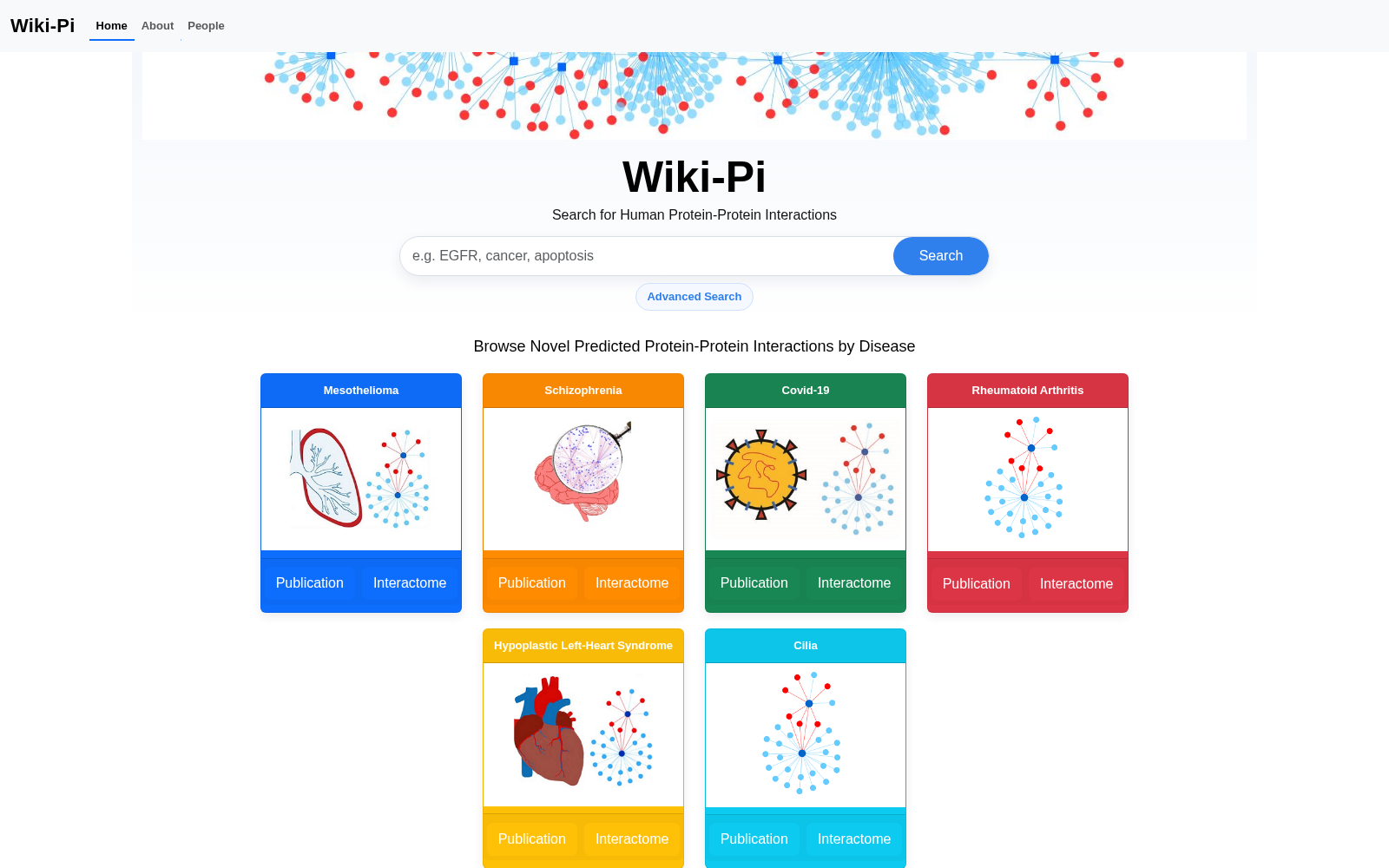Wiki-Pi 数据集图片