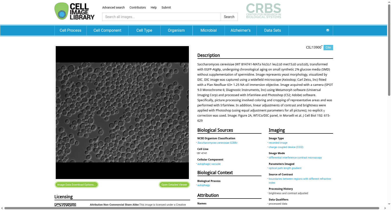 CIL:13900, Saccharomyces cerevisiae S288c. CIL. Dataset 数据集图片