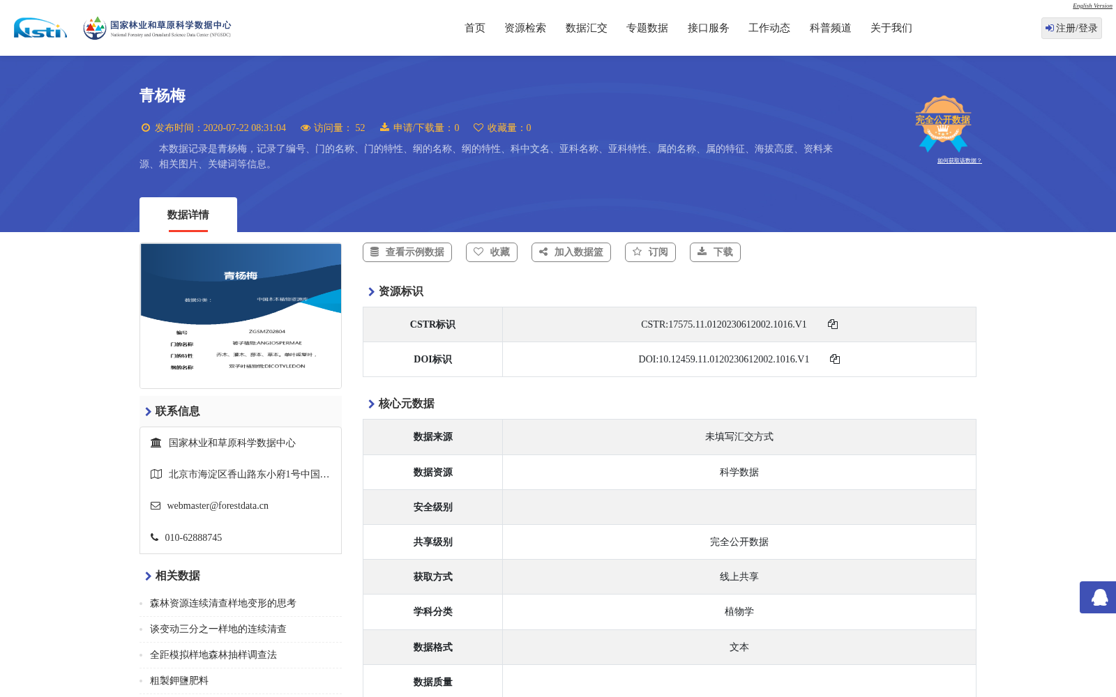 青杨梅 数据集图片