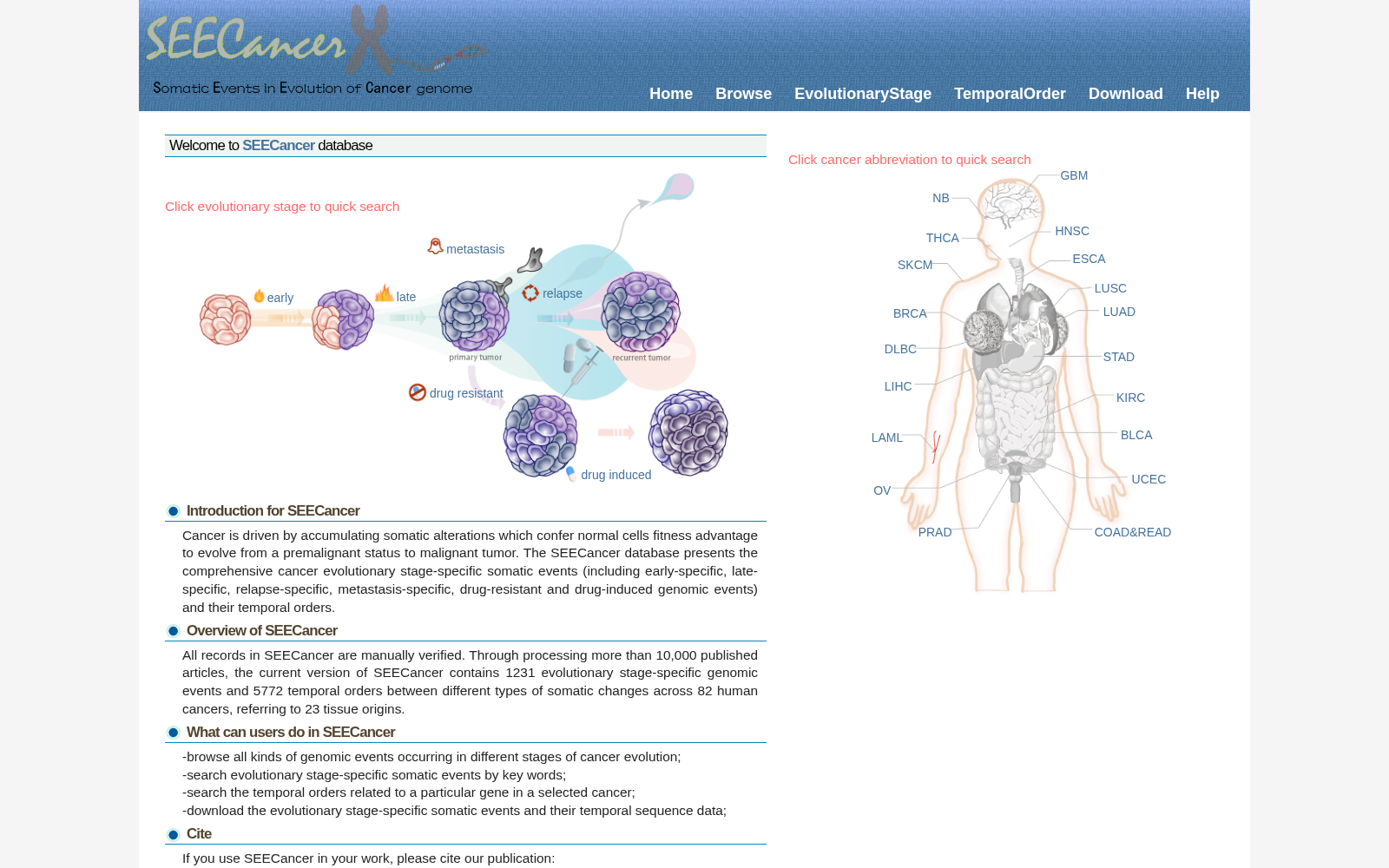 SEECancer 数据集图片