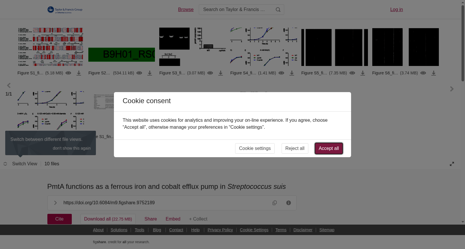 PmtA functions as a ferrous iron and cobalt efflux pump in <i>Streptococcus suis</i> 数据集图片