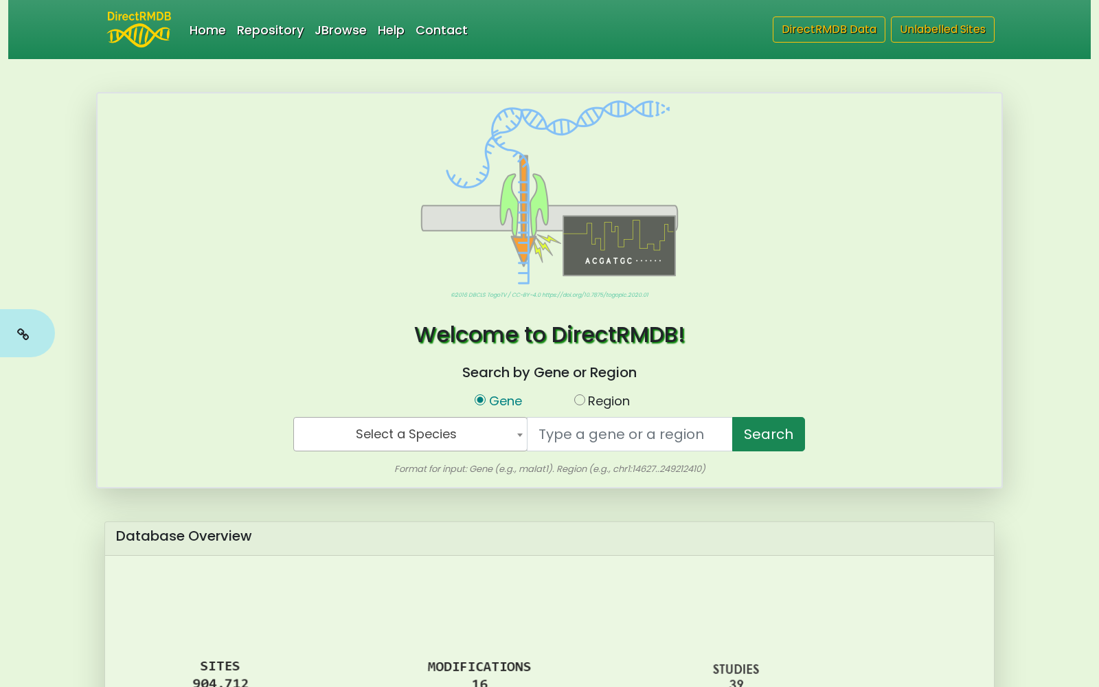 DirectRMDB 数据集图片