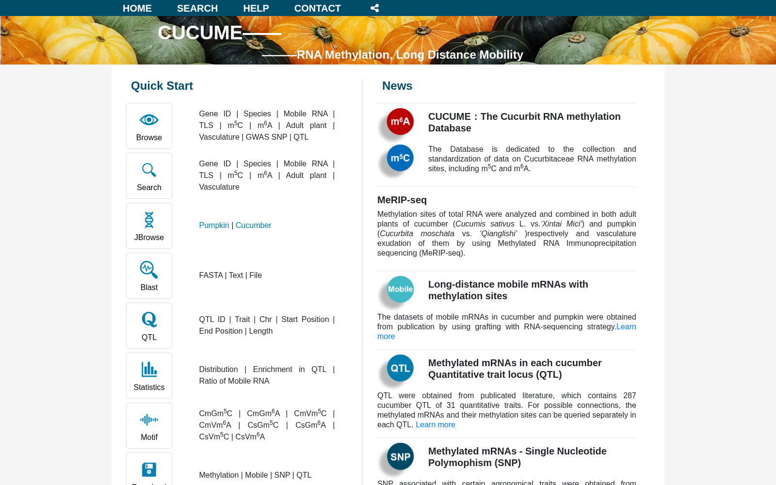 CUCUME 数据集图片
