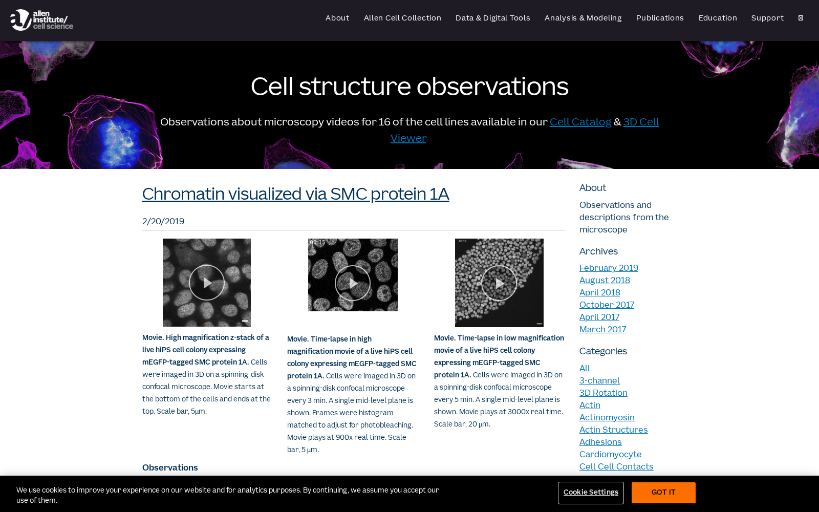 Allen Cell Explorer - Organelle Data 数据集图片