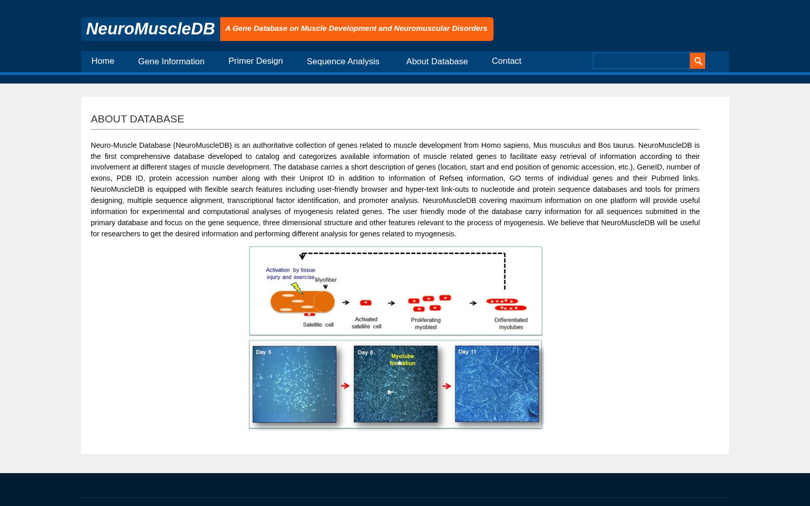 NeuroMuscleDB 数据集图片
