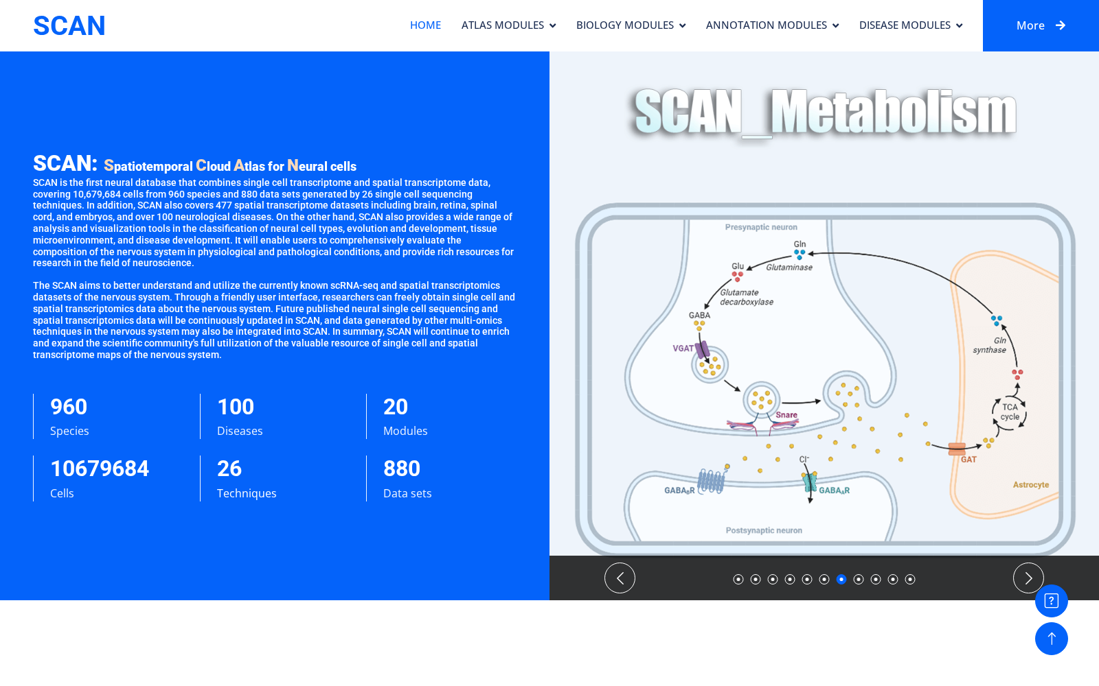 SCAN 数据集图片