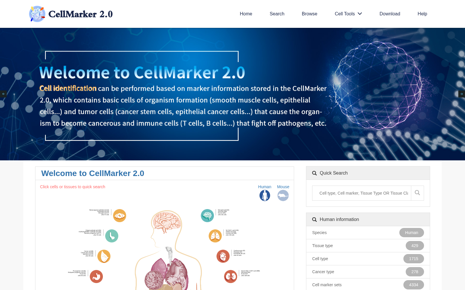 CellMarker 数据集图片