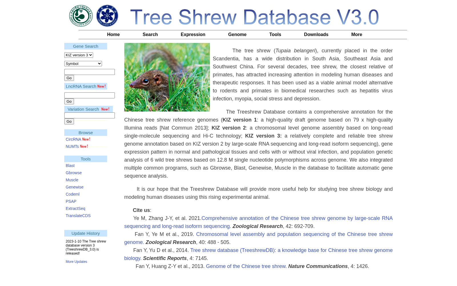 ree shrew DB 数据集图片