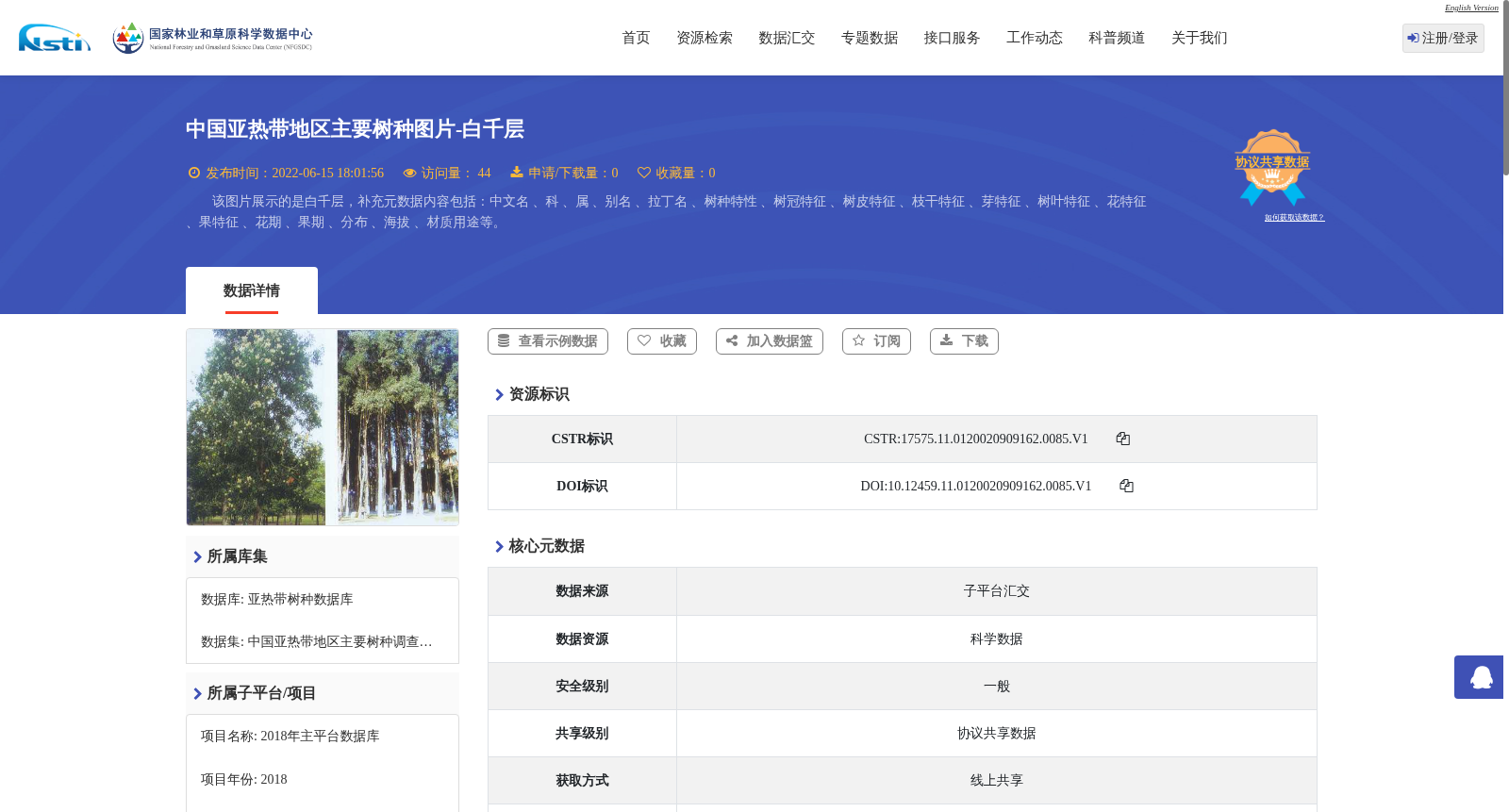 main_image_url