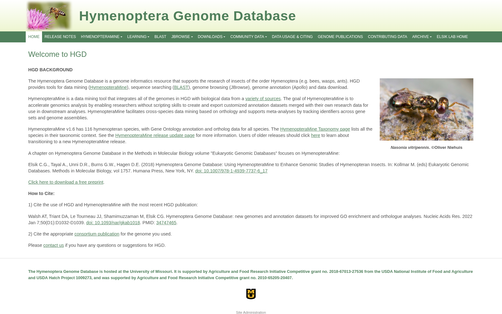 Hymenoptera Genome Database 数据集图片