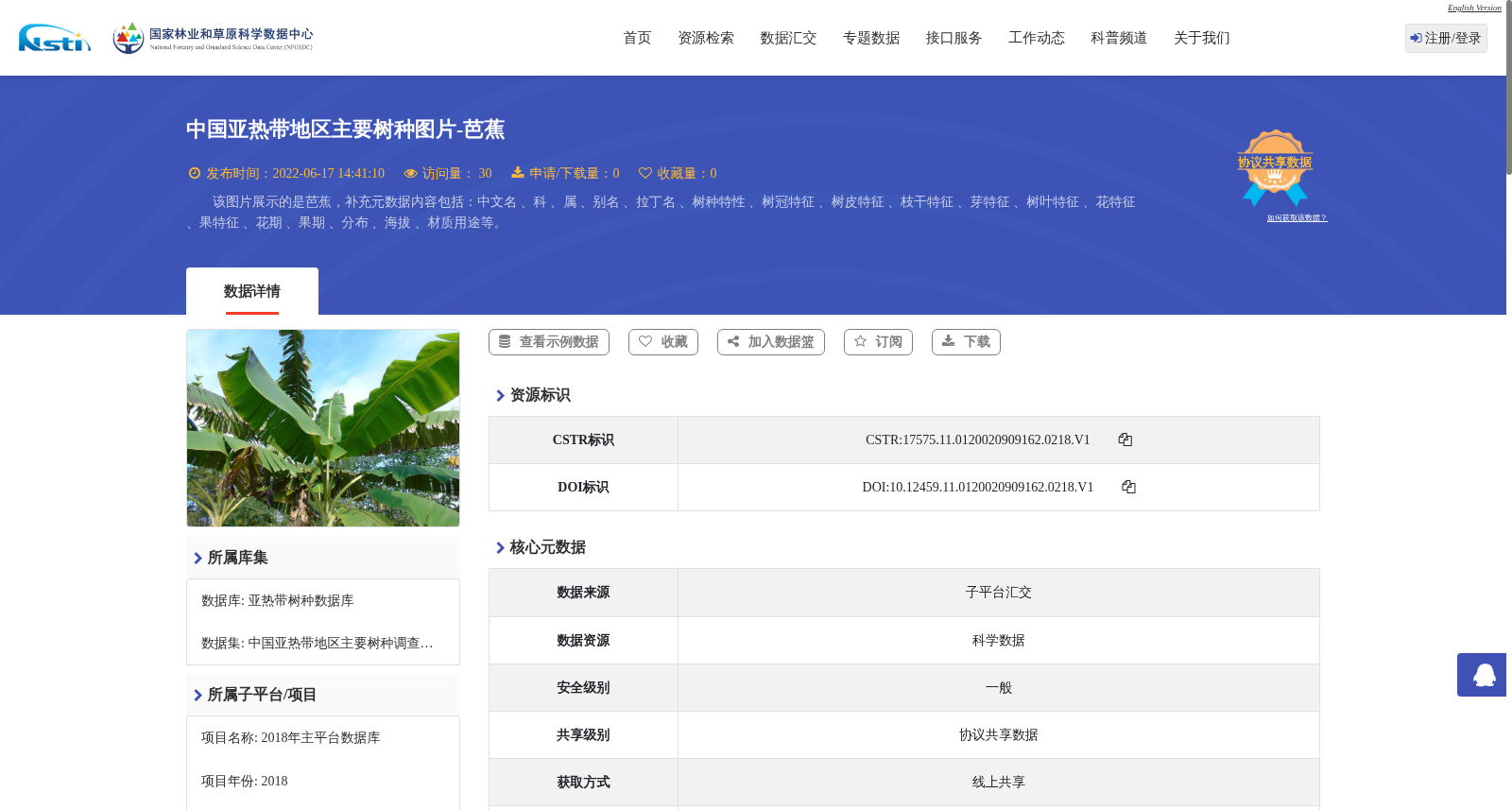 中国亚热带地区主要树种图片-芭蕉 数据集图片