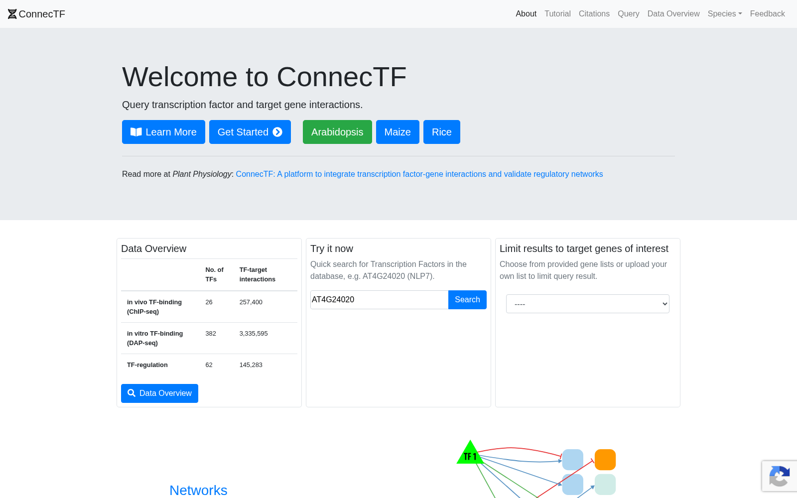 ConnecTF 数据集图片