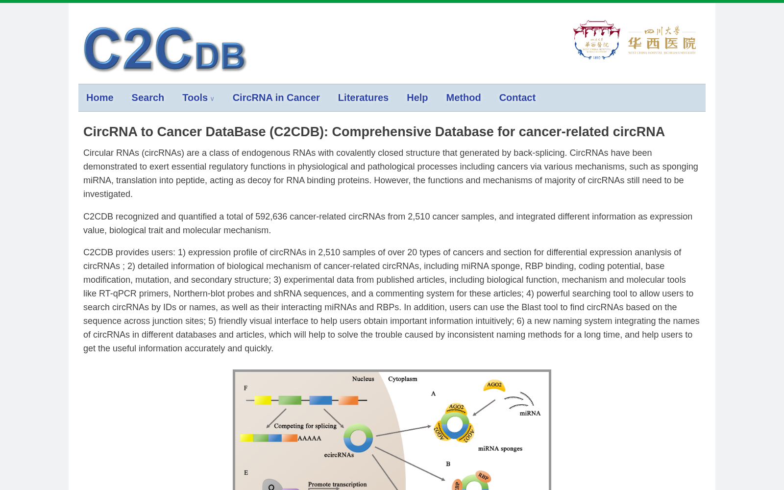 C2CDB 数据集图片