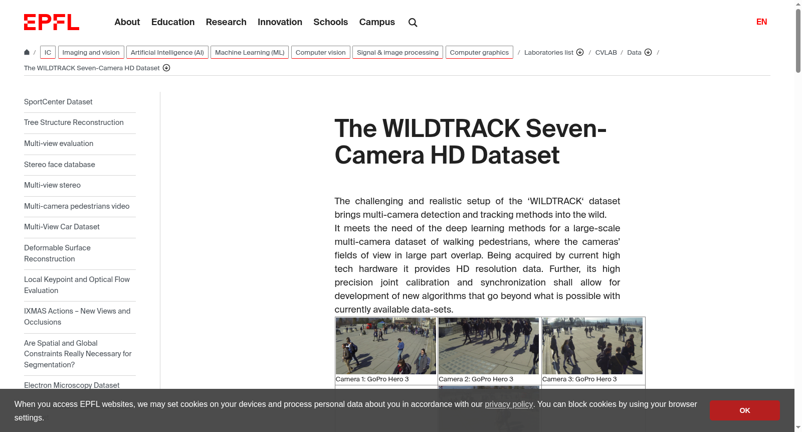 Wildtrack 数据集图片