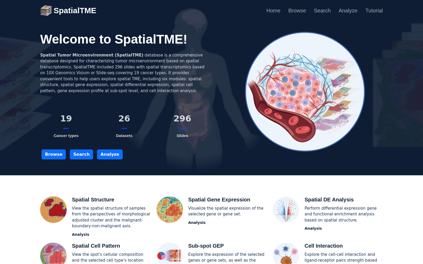 SpatialTME 数据集图片