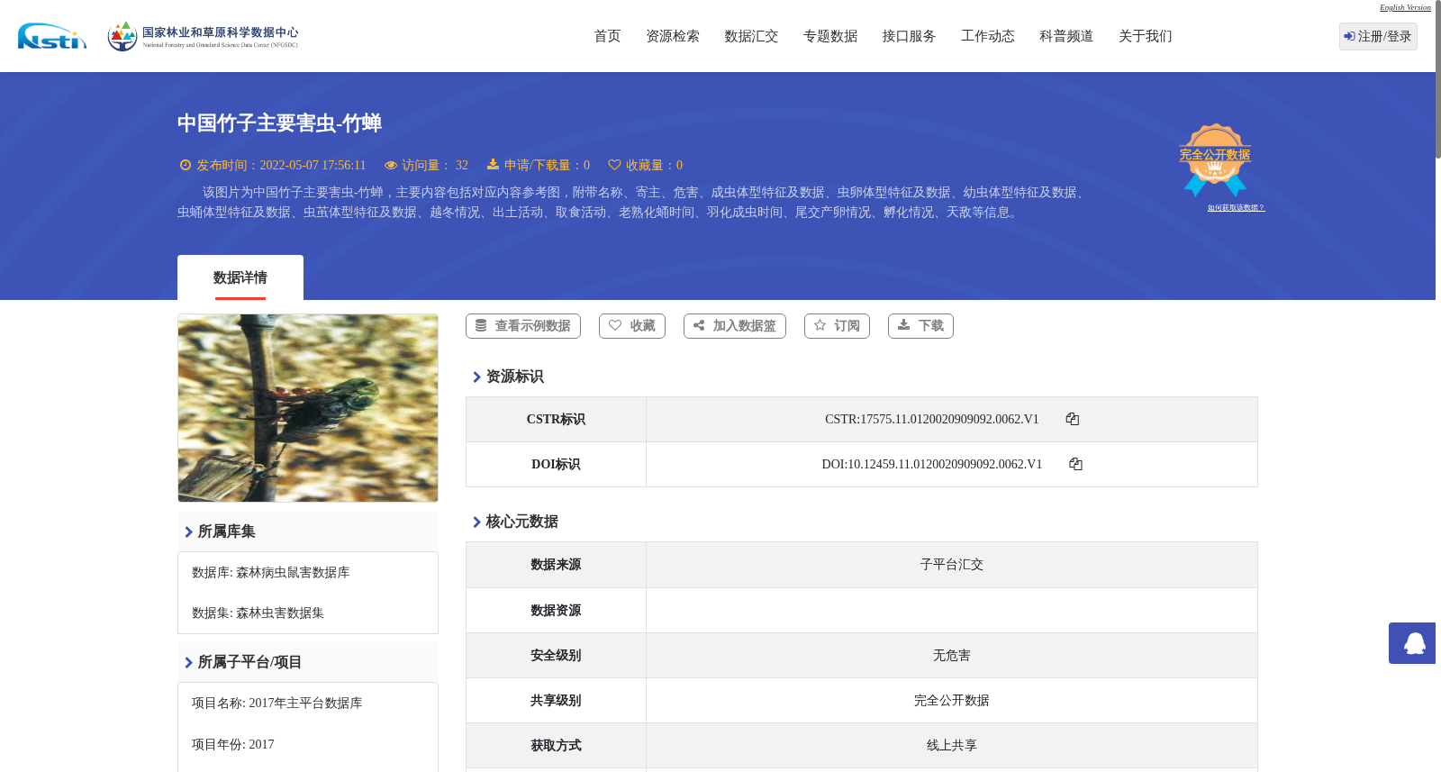 中国竹子主要害虫-竹蝉 数据集图片