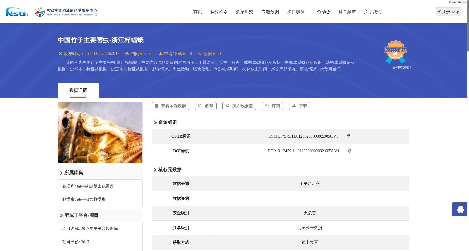 中国竹子主要害虫-浙江栉蝠蛾 数据集图片