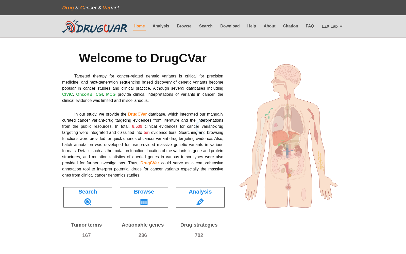 DrugCVar 数据集图片