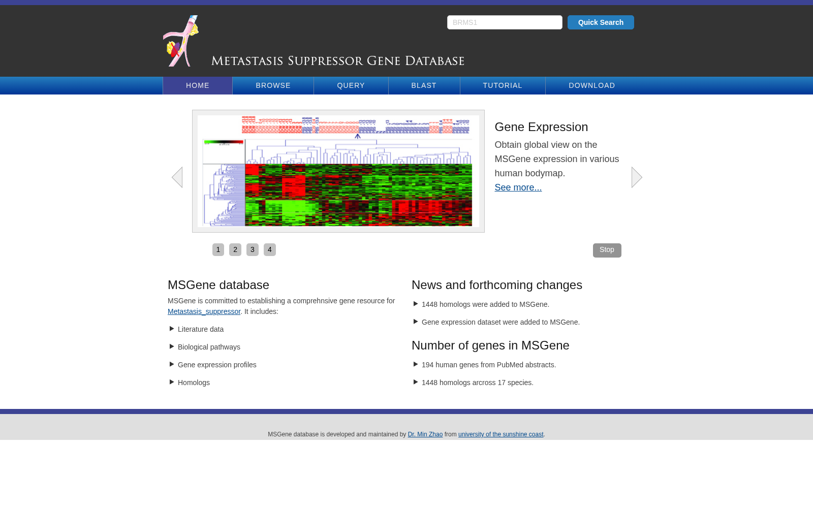 MSGene 数据集图片