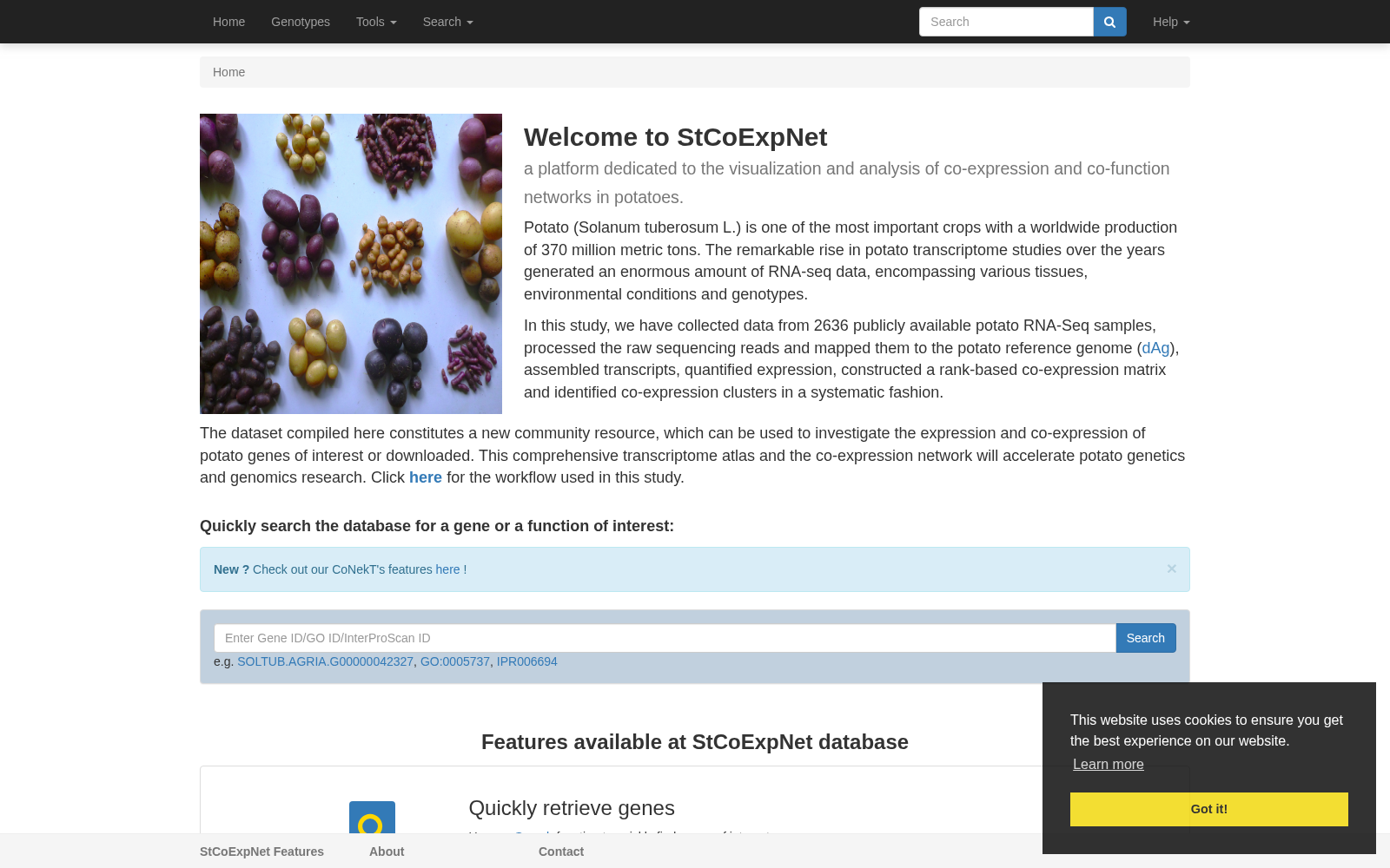 StCoExpNet 数据集图片