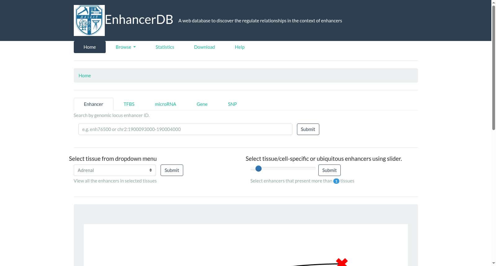 EnhancerDB 数据集图片