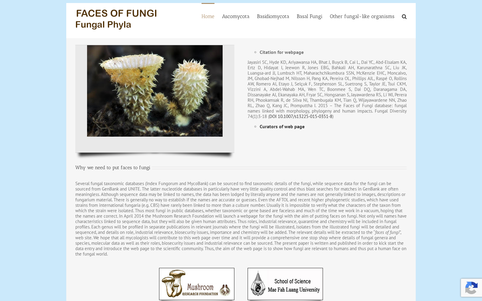 Faces Of Fungi database 数据集图片