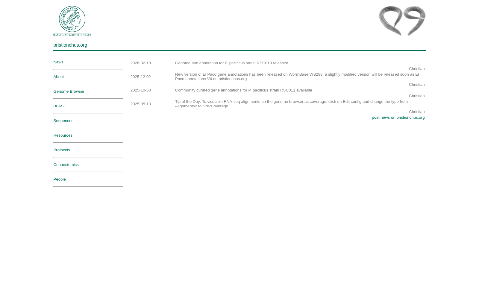 Pristionchus.org 数据集图片