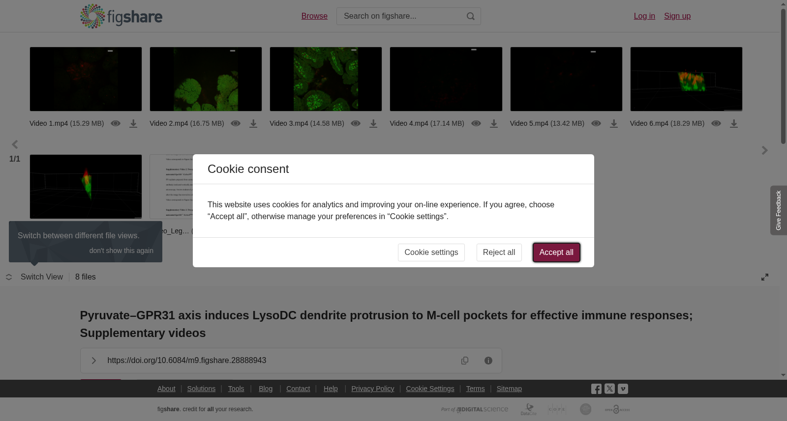 <b>Pyruvate–GPR31 axis </b><b>induces LysoDC dendrite protrusion to M-cell pockets for effective immune responses; Supplementary videos</b> 数据集图片
