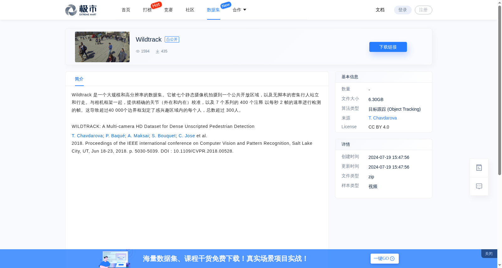 Wildtrack 数据集图片