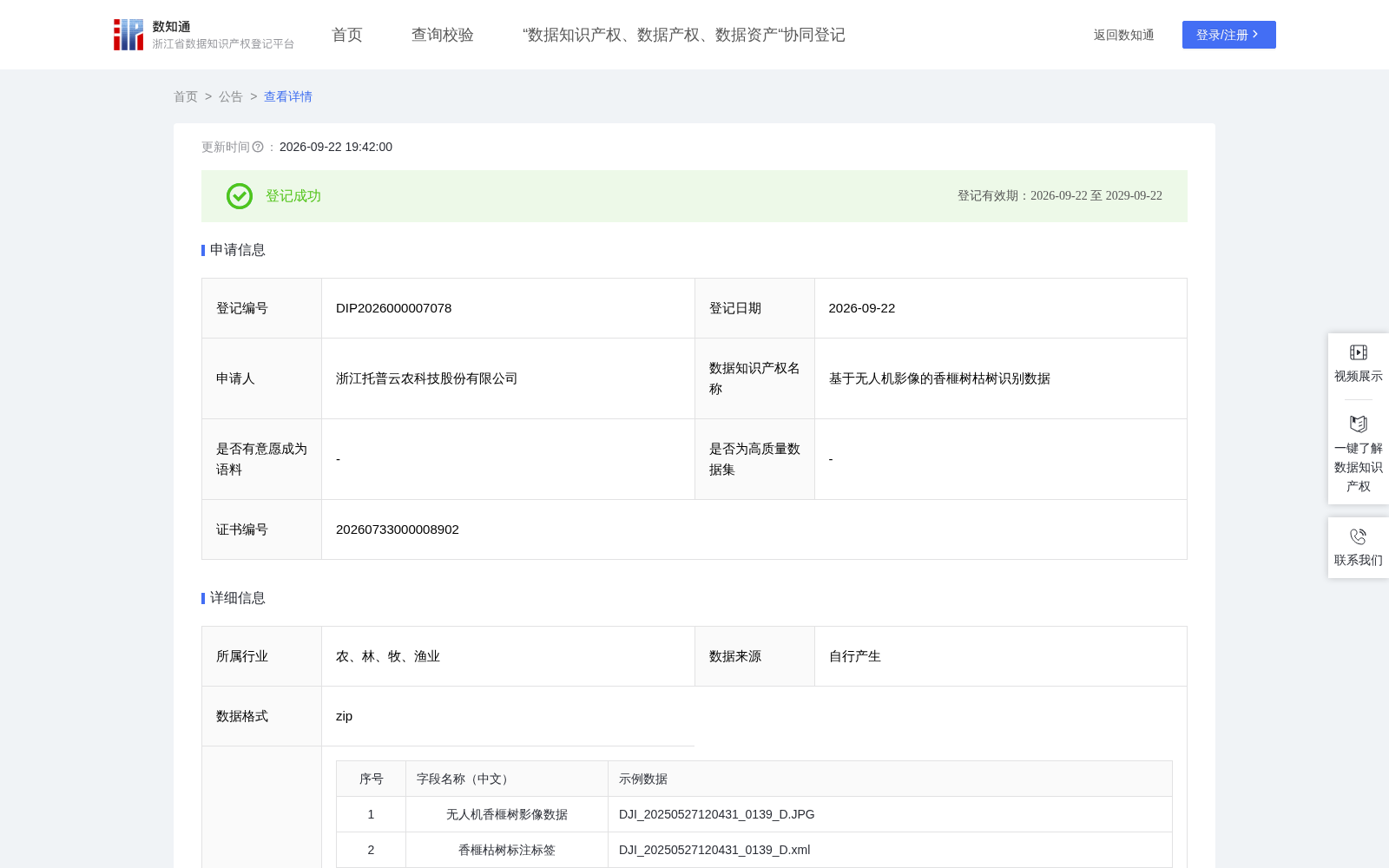 基于无人机影像的香榧树枯树识别数据 数据集图片