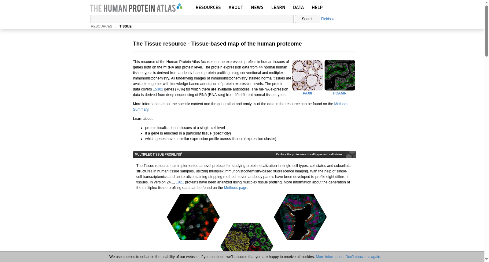 Human Protein Atlas - Tissue 数据集图片