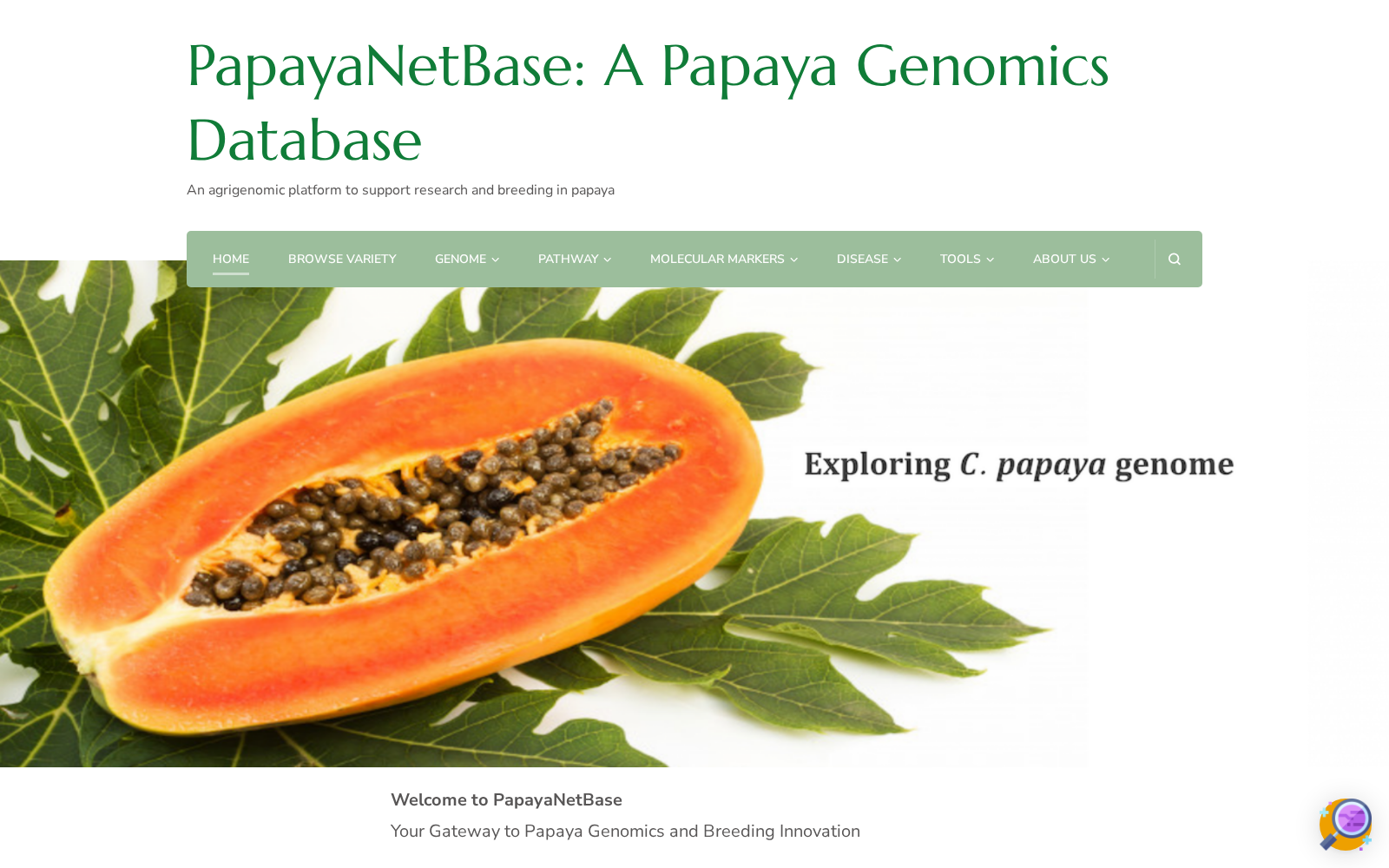 PapayaNetBase 数据集图片