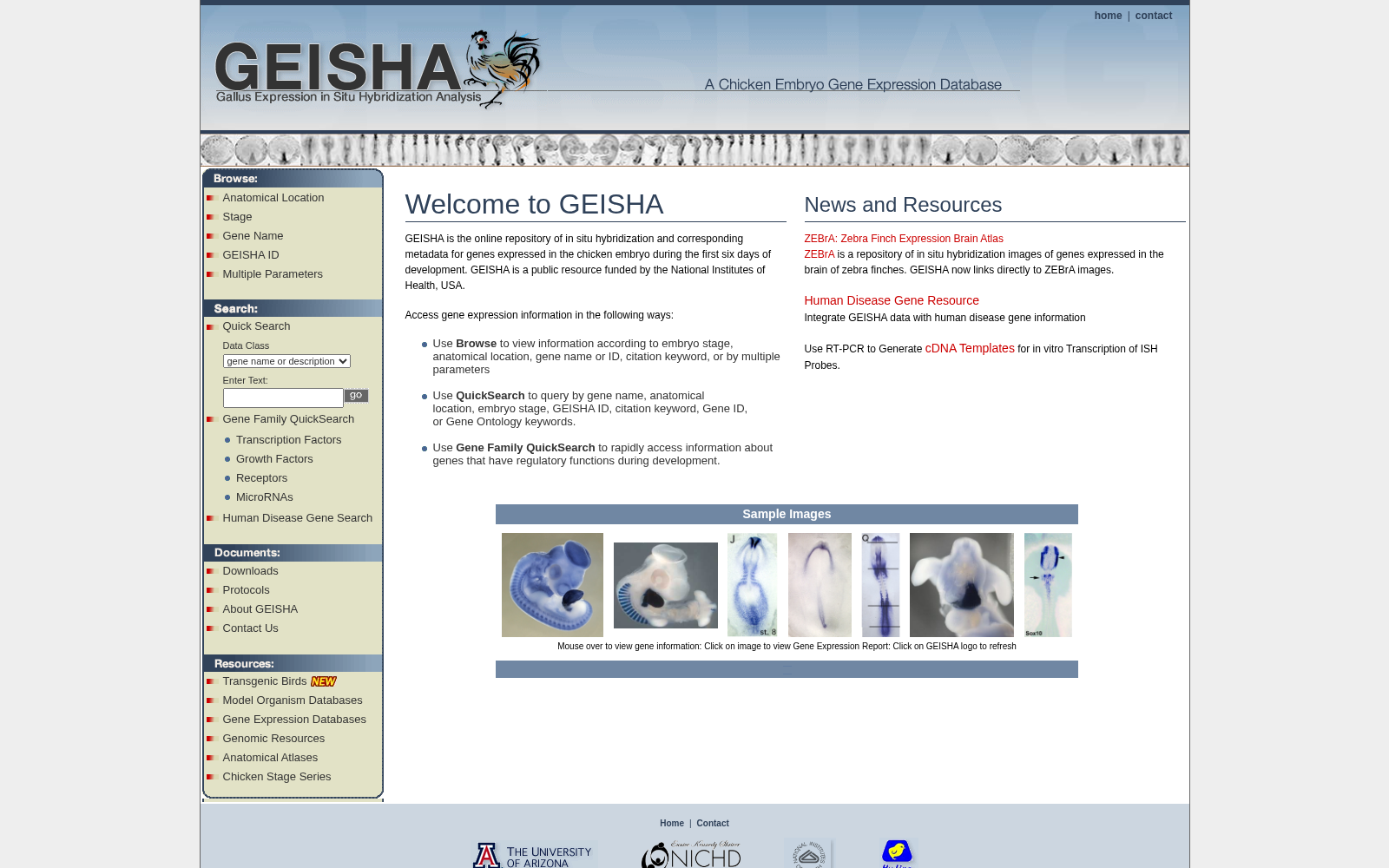 GEISHA 数据集图片