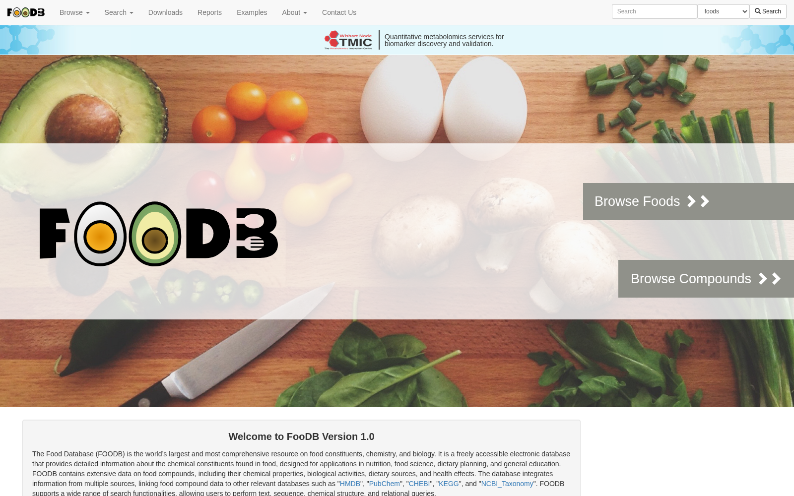 Food Database 数据集图片