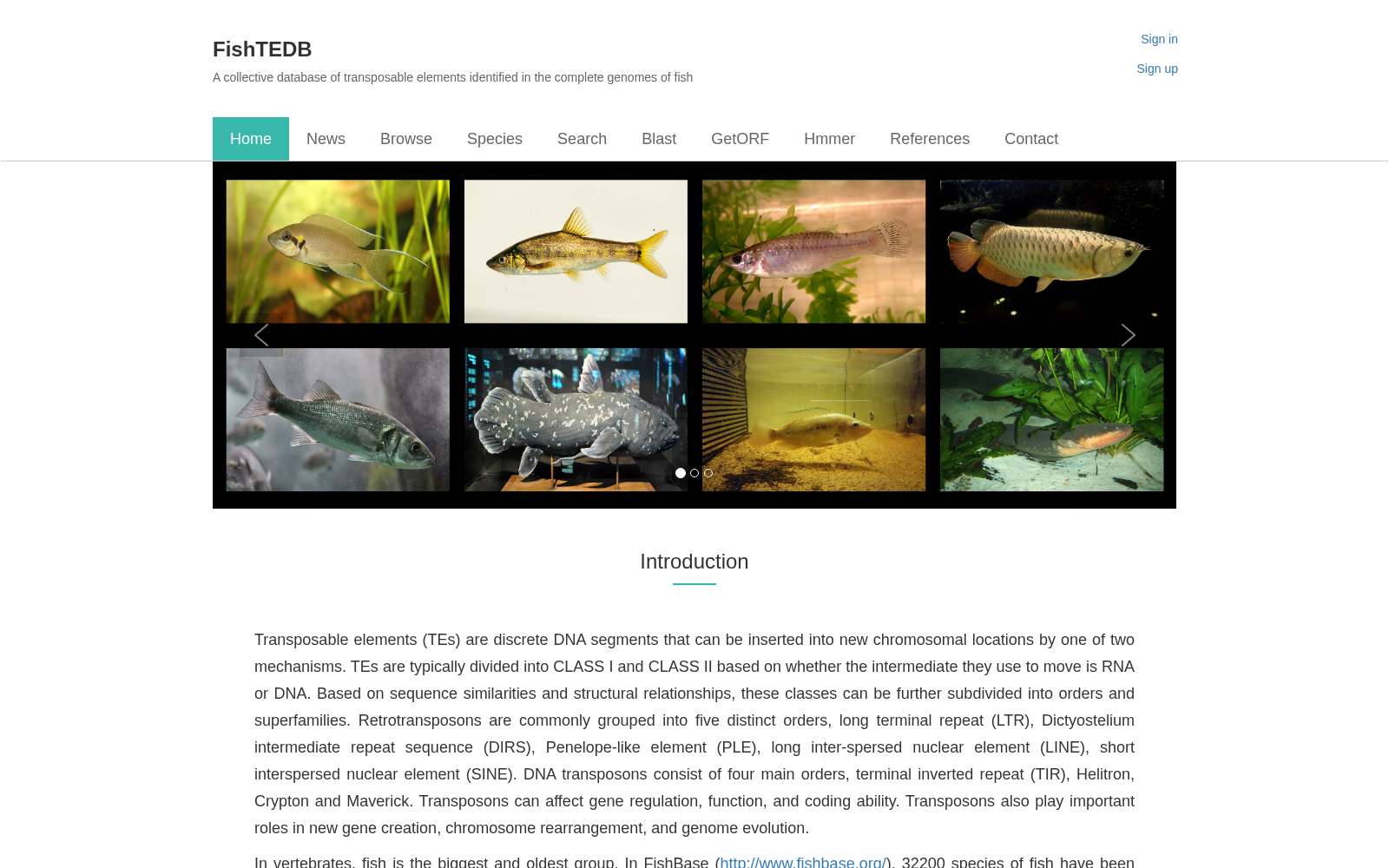 FishTEDB 数据集图片