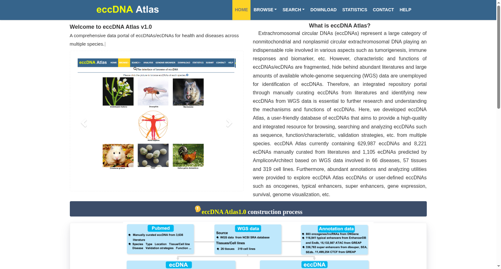 eccDNA Atlas 数据集图片