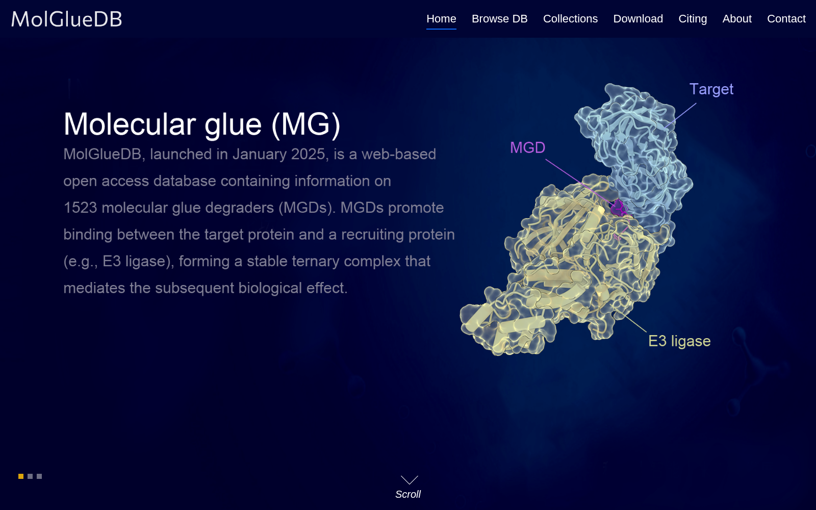 MolGlueDB 数据集图片