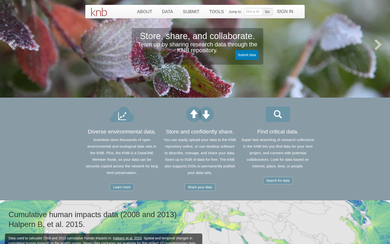 main_image_url
