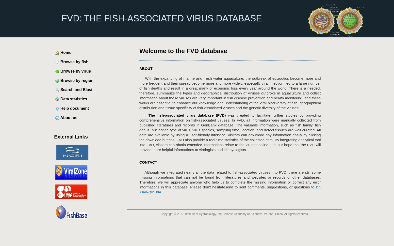 FVD 数据集图片