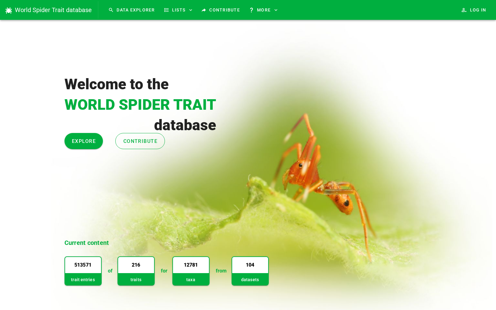 World Spider Trait database 数据集图片